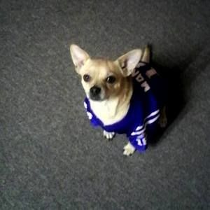 Meet your Posher, Laura